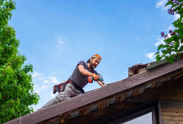Best Asphalt Shingle Roofing  in Hockinson, WA